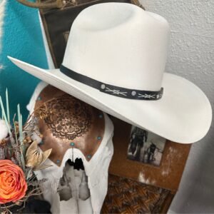 Wayne Hat