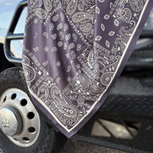 CHARCOAL Paisley Creek Wild Rag
