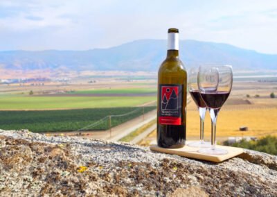 A bottle of Tehachapi Winery red wine and two glasses sit on a rock overlooking a vast valley with fields and mountains